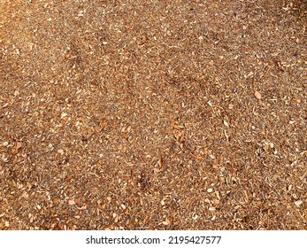 A Landscaping Garden Mulch Woodchips Groundcover Biomass Protection Flower Gardening