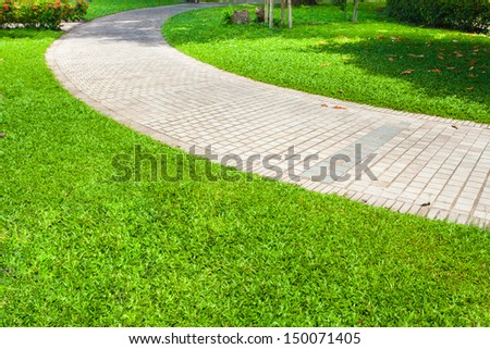 Landscaping in the garden. The path in the garden. 