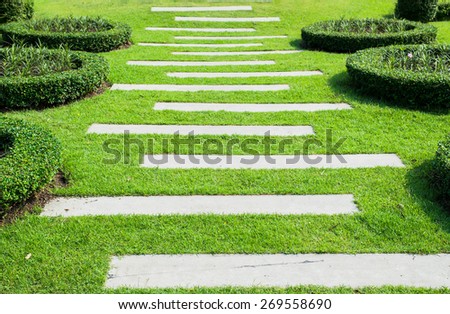 Landscaping in the garden. The path in the garden.