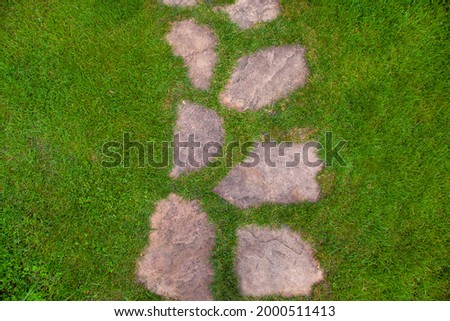 Landscaping of the garden path of natural rough stone along which to walk to backyard and go to the house on summer green lawn top view texture with space, nobody.