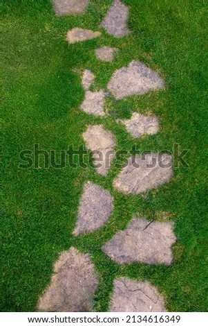 Landscaping of the garden path of natural rough stone along which to walk to backyard and go to the garden on summer green lawn top view texture, nobody.