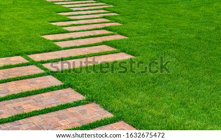 Landscaping lawn with green grass. Curved stone pathway leading through lawn. Path in garden.
