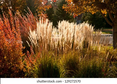 Landscaping With Ornamental Grasses And Shrubbery