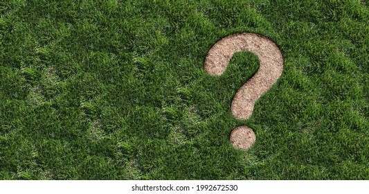 Landscaping Questions And Lawn Disease Question Mark As Grub Damage Damaging Grass Roots Causing A Brown Patch And Drought Area In The Turf Representing Gardening Information Or Garden Help.