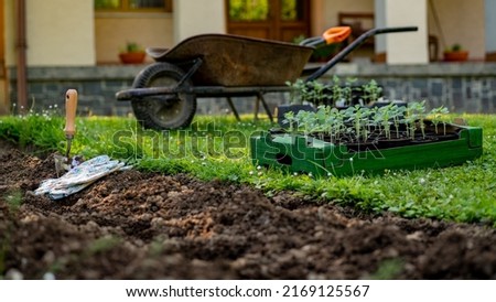Landscaping. Starting new flowerbed in a backyard. Garden work, hobby, relax.
