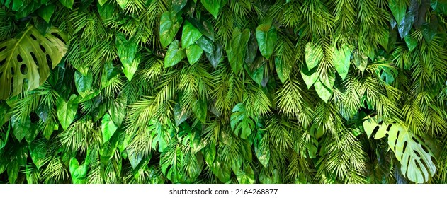 Landscaping wall texture background, vertical garden with green plants inside office or home. Panoramic lush foliage pattern indoor, leaves decor in modern house interior. Eco design and nature.  - Shutterstock ID 2164268877