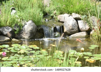 Landscaping Water Feature Frozen In Time