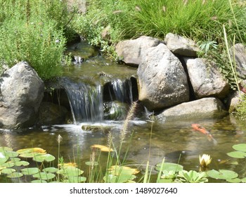 Landscaping Water Feature Frozen In Time