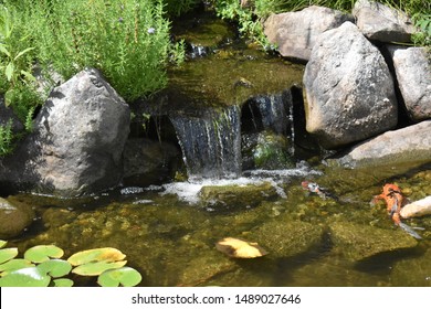 Landscaping Water Feature Frozen In Time