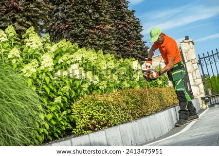 Landscaping Worker Shaping Driveway Side Plants Using Electric Hedge Trimmer