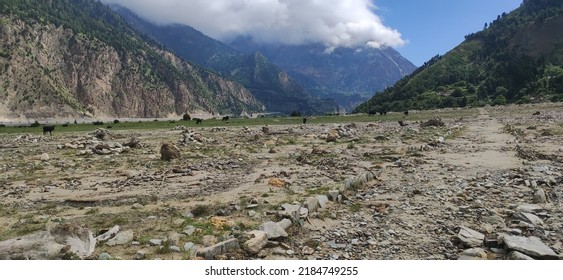 Landslide In Hill In Nepal