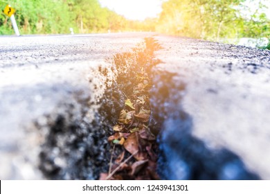 Lane Blacktop with fractures.concept earthquake - Shutterstock ID 1243941301