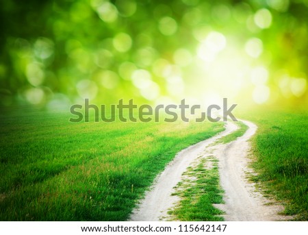 Lane in meadow and deep blue sky. Nature design.