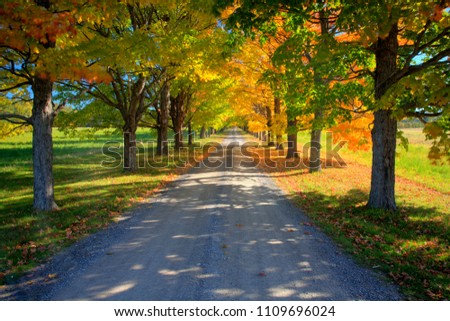 A lane passes between two rows of maple trees.  The changing colour of the leaves displays the beauty of autumn in Nova Scotia. A time exposure.