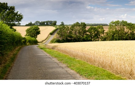 A Lane In South Cambridgeshire, Beside Arable Farmland.