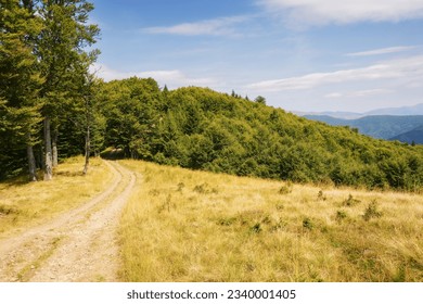 lane through grassy meadow. beech forest on the hills. summer landscape of carpathian mountains - Powered by Shutterstock