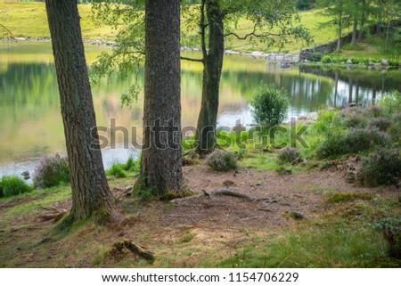 Similar – Stone jetty by the lake