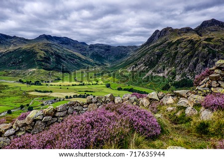 Langdale Valley from Side Pike, with heather foreground