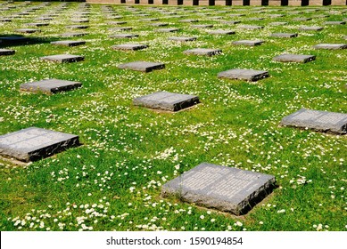 Langemark, Belgium - May 24, 2019 - Flat Grave Markers Surrounded By The Camomile Flowers At The German War Cemetery In Langemark