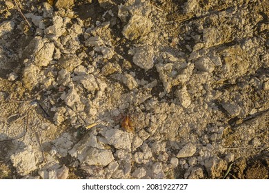 Langhe, Piedmont, Italy - November 6, 2021: Lump Of Earth In A Vineyard.