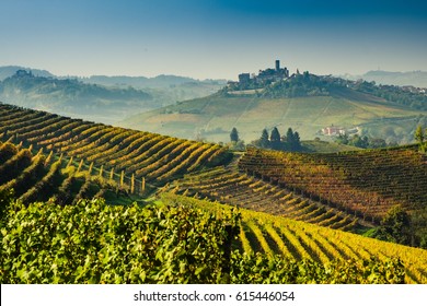Langhe vineyards and hills in autumn