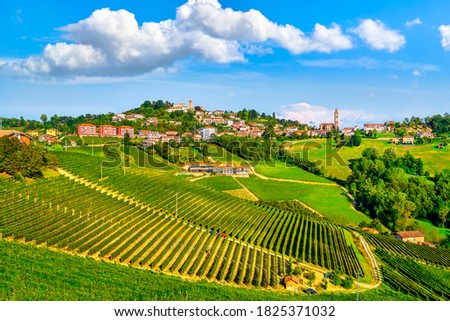 Langhe vineyards panorama, Monforte d'Alba, Unesco Site, Piedmont, Northern Italy Europe.