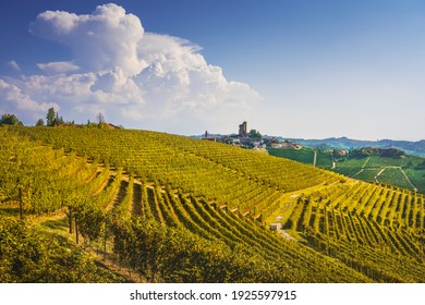 Langhe vineyards panorama, Serralunga d Alba, Unesco Site, Piedmont, Northern Italy Europe.