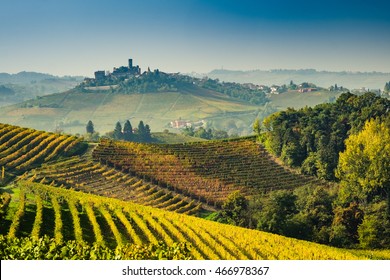 Langhe vineyards of Piedmont in autumn