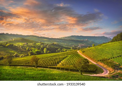 Langhe vineyards sunset panorama, Barolo and La Morra, Unesco Site, Piedmont, Northern Italy Europe.