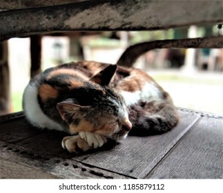 4 Nap ton Images, Stock Photos & Vectors | Shutterstock