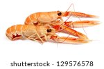 Langoustine isolated on white background. 
Nephrops norvegicus, known as the Norway lobster, Dublin Bay prawn, langostino or scampi close up. 