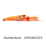 Langoustine known as Dublin Bay prawn or Norway Lobster (Nephrops norvegicus) isolated on white background