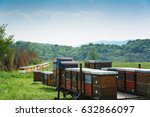 Langstroth beehives mounted on a single axle utility trailer standing in a field of grass. Beehives set on iron stands, and mountain forests are visible in the blurry background. Selective focus.