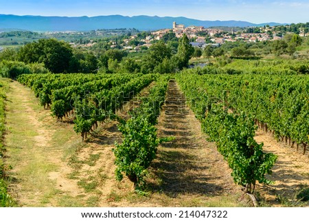 Languedoc vineyards around Beziers with view on Corneilhan and Herault mountains languedoc-roussillon france