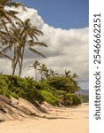 Laniakea Beach Haleiwa Oahu Hawaii, Paradise Beach