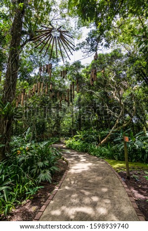 lankester botanical garden costa rica