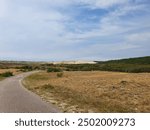 Lanscape of the dutch dunes in the summer