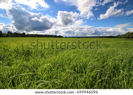 lanscape meadow sky cloud 
