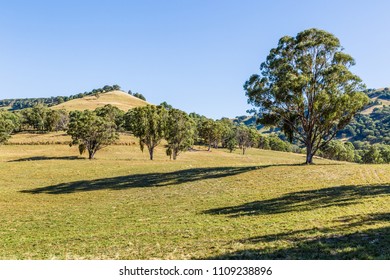 Lanscape View Of The Upper Hunter Valley, NSW, Australia,