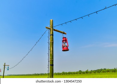 Lantern in the field