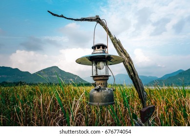 Lantern in the field.
