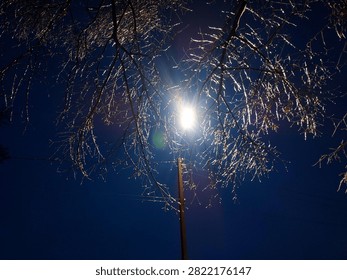 Lantern glowing through ice-covered tree branches on background blue dark sky on twilight on winter evening. Frozen branches. Winter view landscape. Nature freezing backdrop. Natural night background