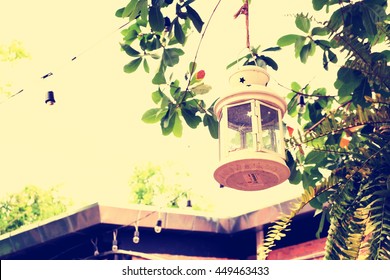 Lantern hanging on tree.