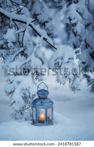 Lantern in snow, snowy pine tree, natural backdrop. winter background. atmosphere festive winter still life. Christmas, new year holidays concept.