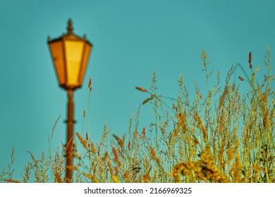 Lantern In Summer City Park. Tall Grass On Side Of Path. Blue Clear Skies.