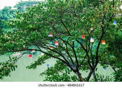 Lanterns decorated trees