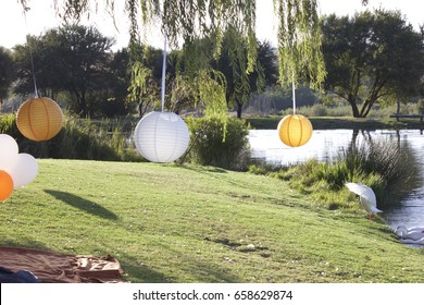 Lanterns in a tree
