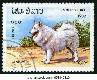 526 Dogs laos Images, Stock Photos & Vectors | Shutterstock