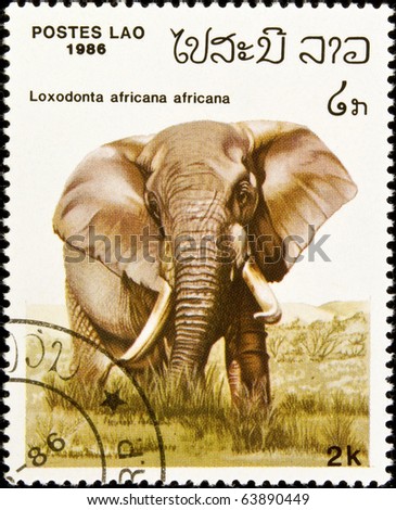 LAOS - circa 1986:stamp features an African elephant (loxodonta africana), circa 1986 in the Lao People's Democratic Republic.