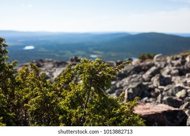 Lapland, Finland In Summer